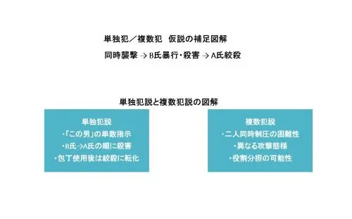 単独犯複数犯 仮説の補足図解 - clairvoyant report 単独犯複数犯 仮説の補足図解